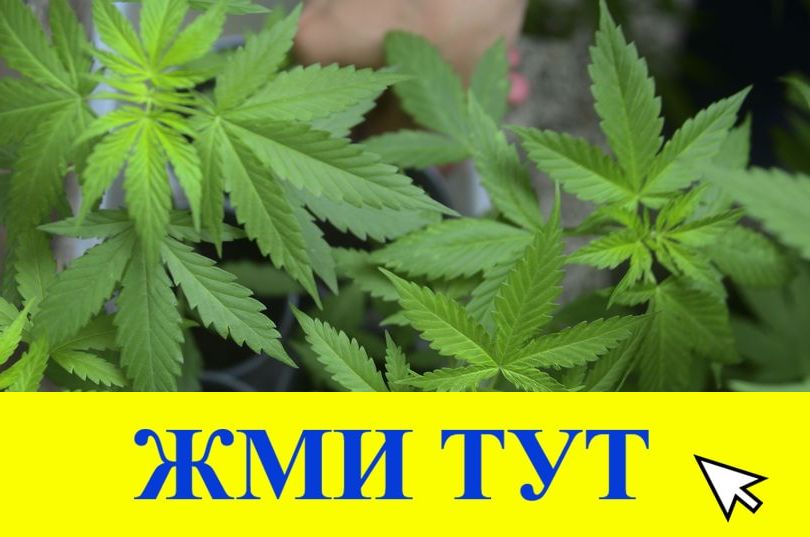 Купить наркотики в Тобольске